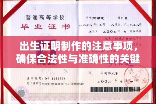 西夏出生证明制作的注意事项，确保合法性与准确性的关键步骤